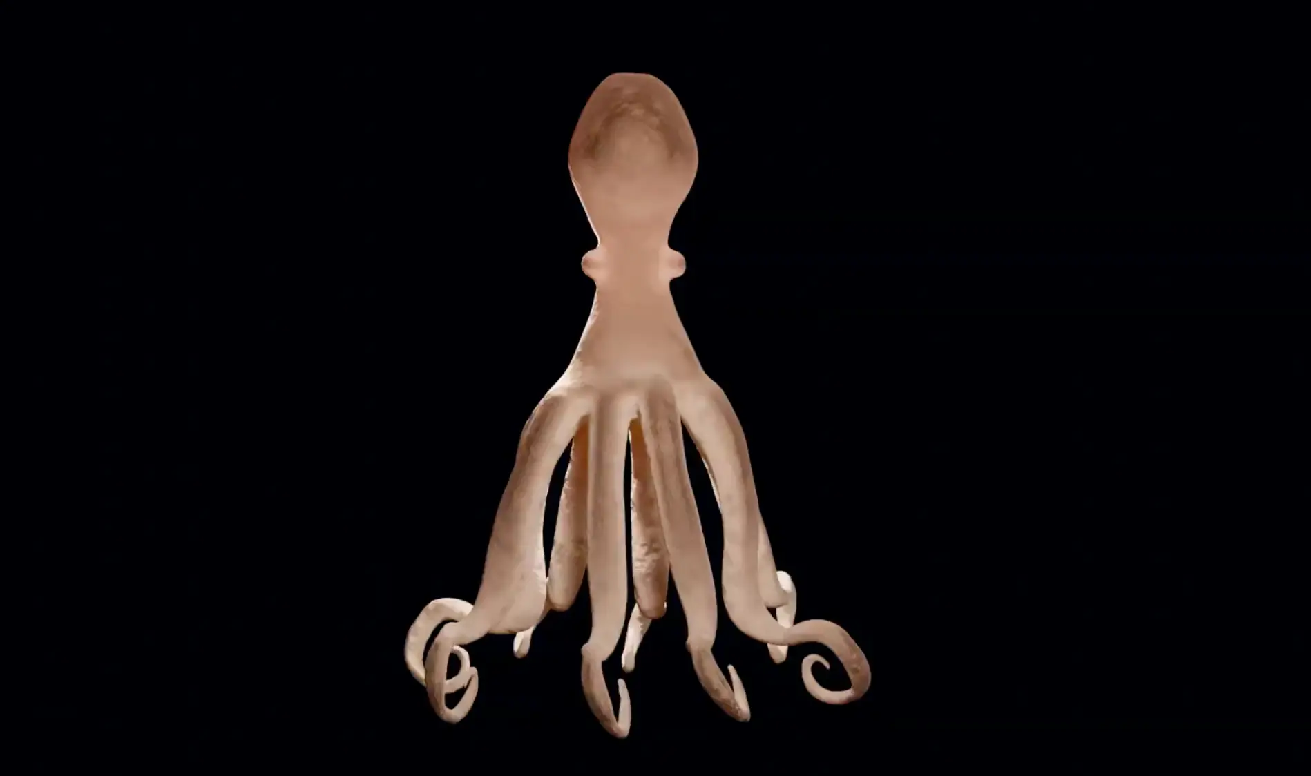 Octobus