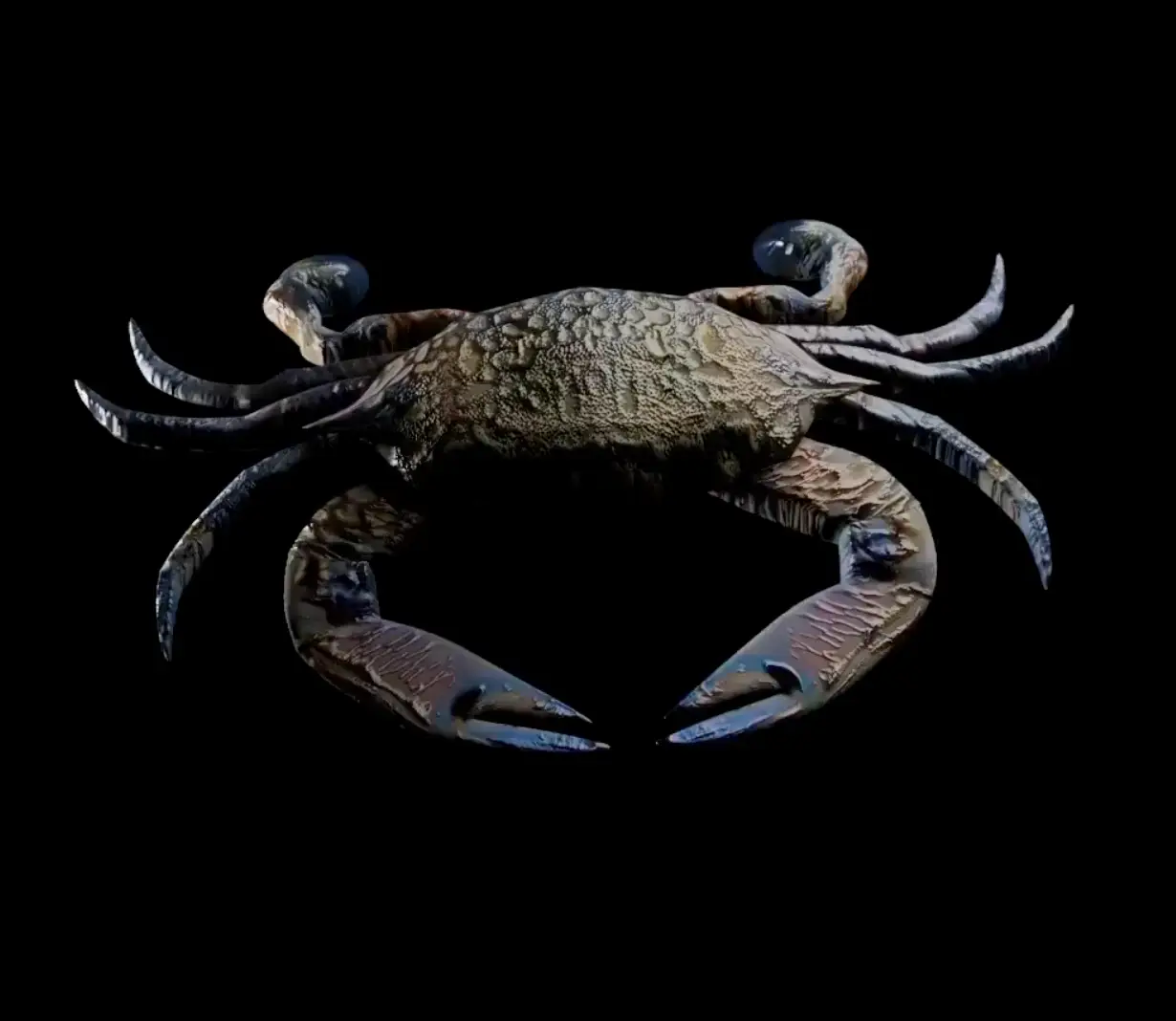 crab