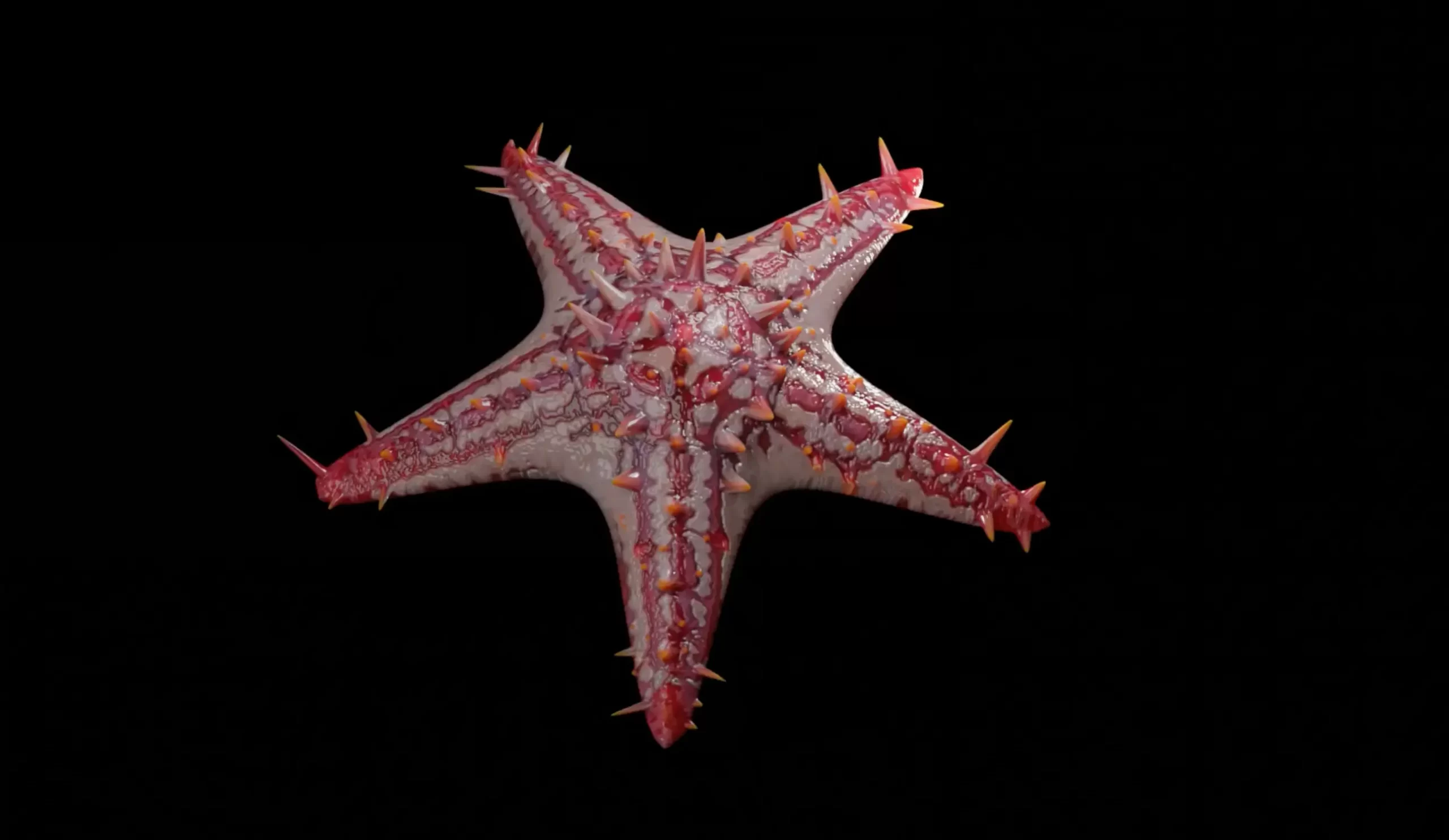 Star Fish